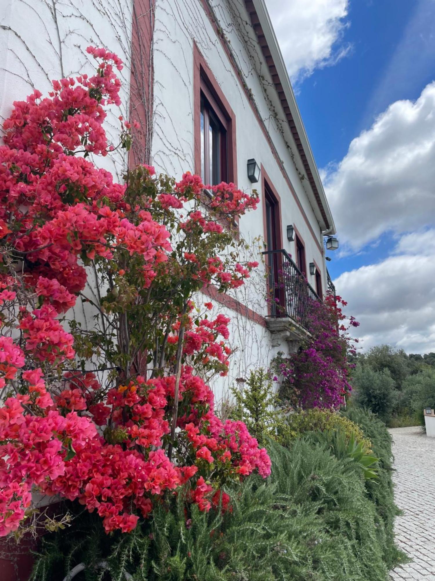 新蒙特莫尔Quinta Da Asneira公寓 外观 照片