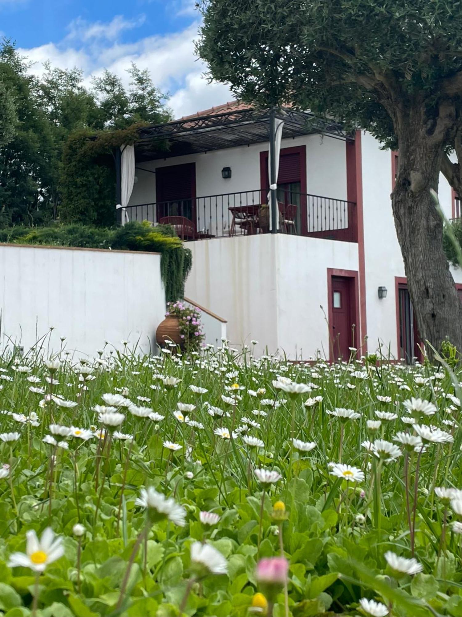 新蒙特莫尔Quinta Da Asneira公寓 外观 照片